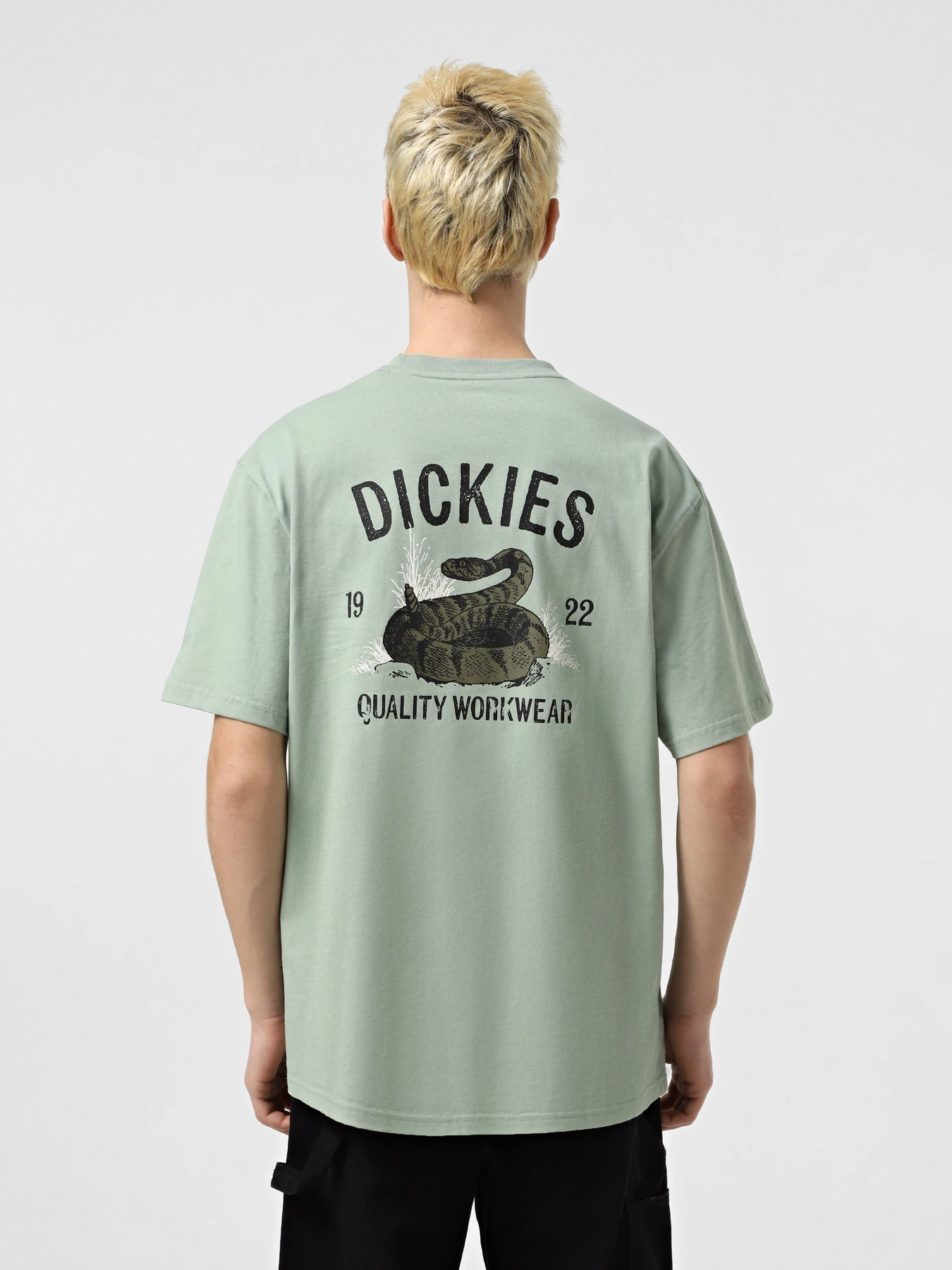 Футболки и поло Dickies Dickies Snake модель DK0A4Z99K361 Футболки и поло Dickies Dickies Snake модель DK0A4Z99K361 Фото