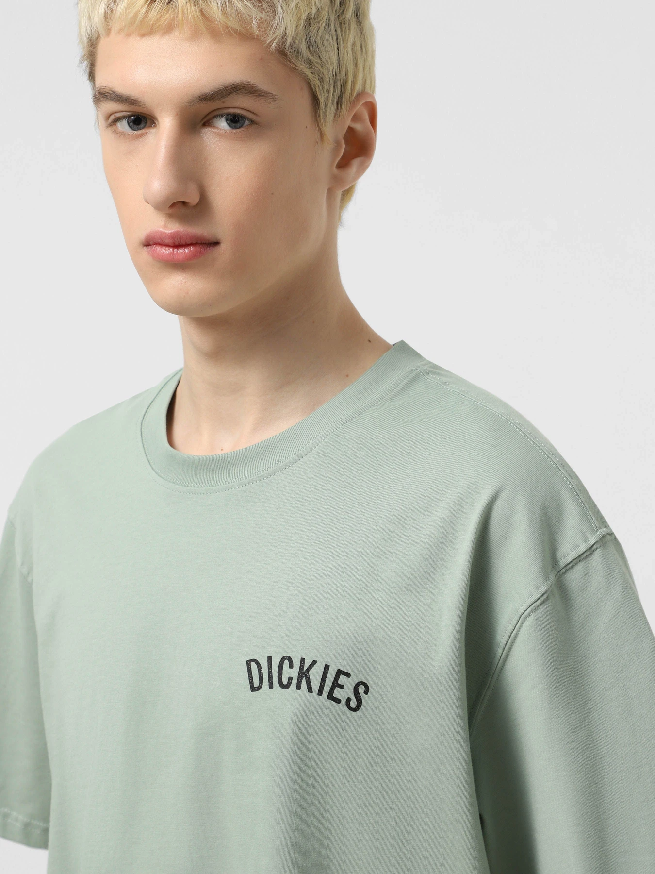 Футболки и поло Dickies Dickies Snake модель DK0A4Z99K361 Футболки и поло Dickies Dickies Snake модель DK0A4Z99K361 Фото