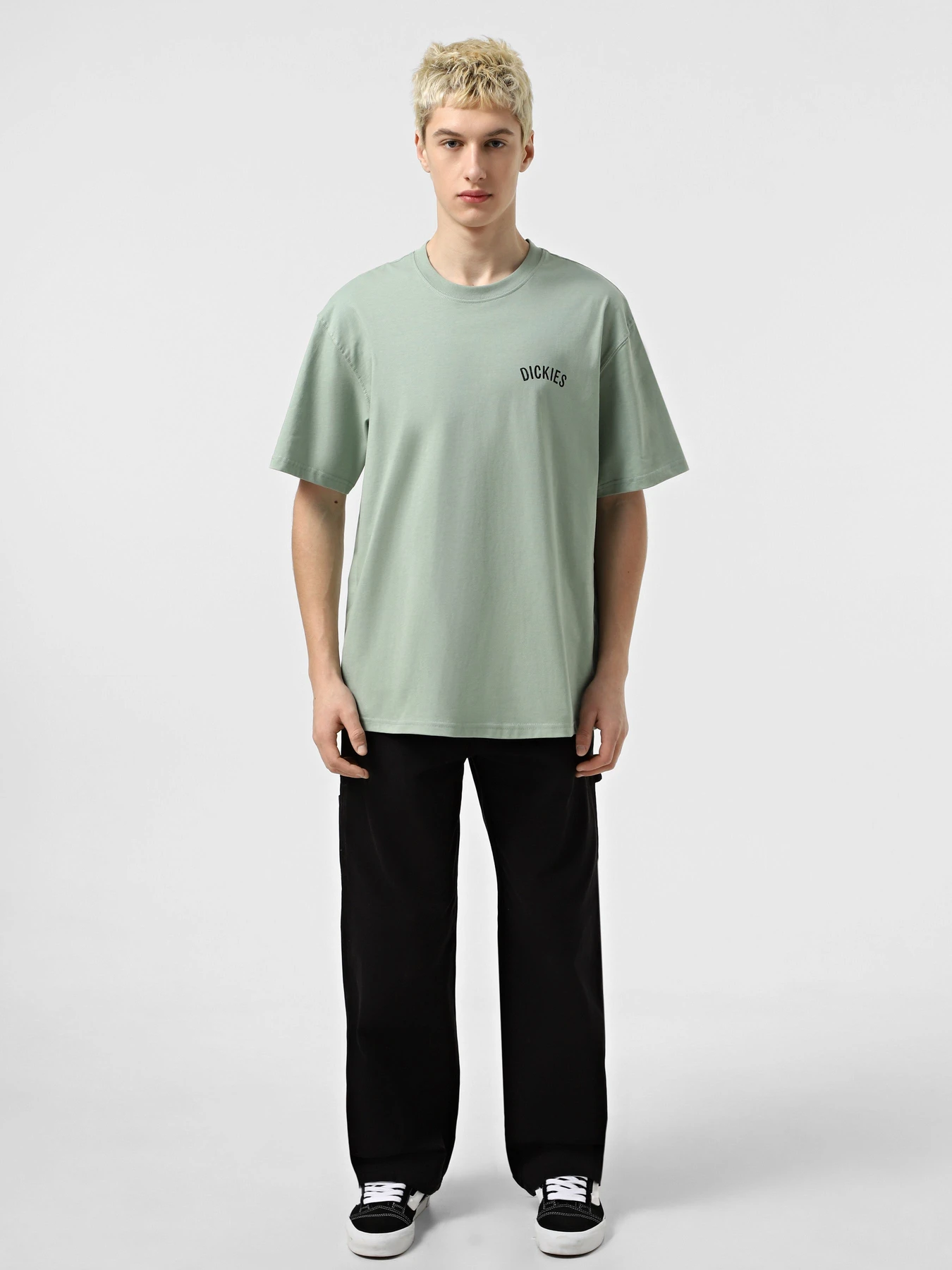 Футболки и поло Dickies Dickies Snake модель DK0A4Z99K361 Футболки и поло Dickies Dickies Snake модель DK0A4Z99K361 Фото