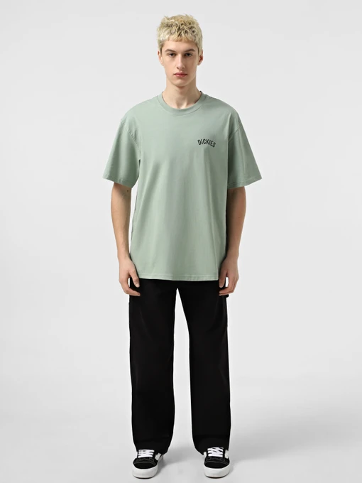 Футболки і поло Dickies Dickies Snake модель DK0A4Z99K361 Фото