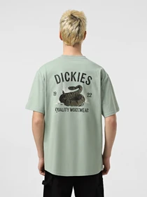 Футболки и поло Dickies Dickies Snake модель DK0A4Z99K361 Фото