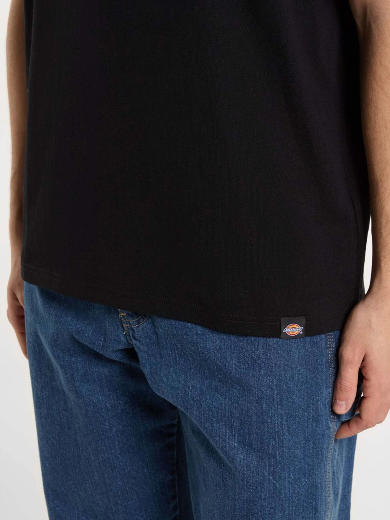 Футболки і поло Dickies Wrench модель DK0A4ZARBLK1 Футболки і поло Dickies Wrench модель DK0A4ZARBLK1 Фото