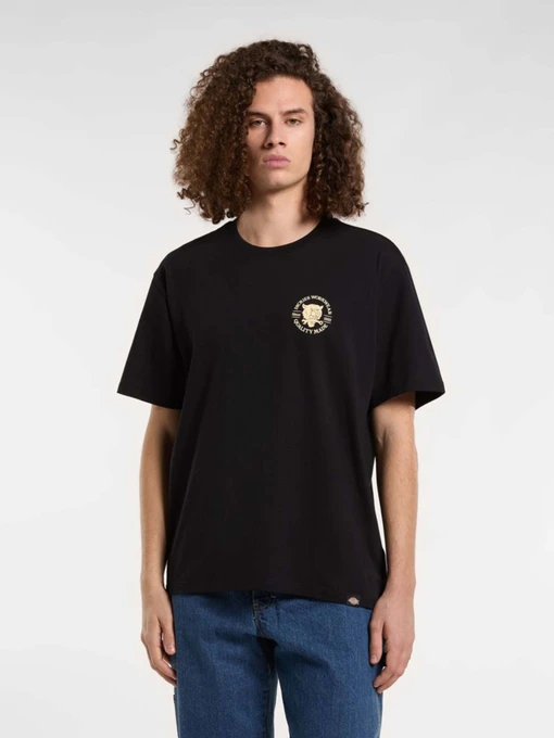 Футболки і поло Dickies Wrench модель DK0A4ZARBLK1 Фото