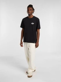 Футболки і поло Dickies Wood Logo модель DK0A4ZATBLK1 Фото