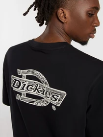 Футболки і поло Dickies Wood Logo модель DK0A4ZATBLK1 Фото