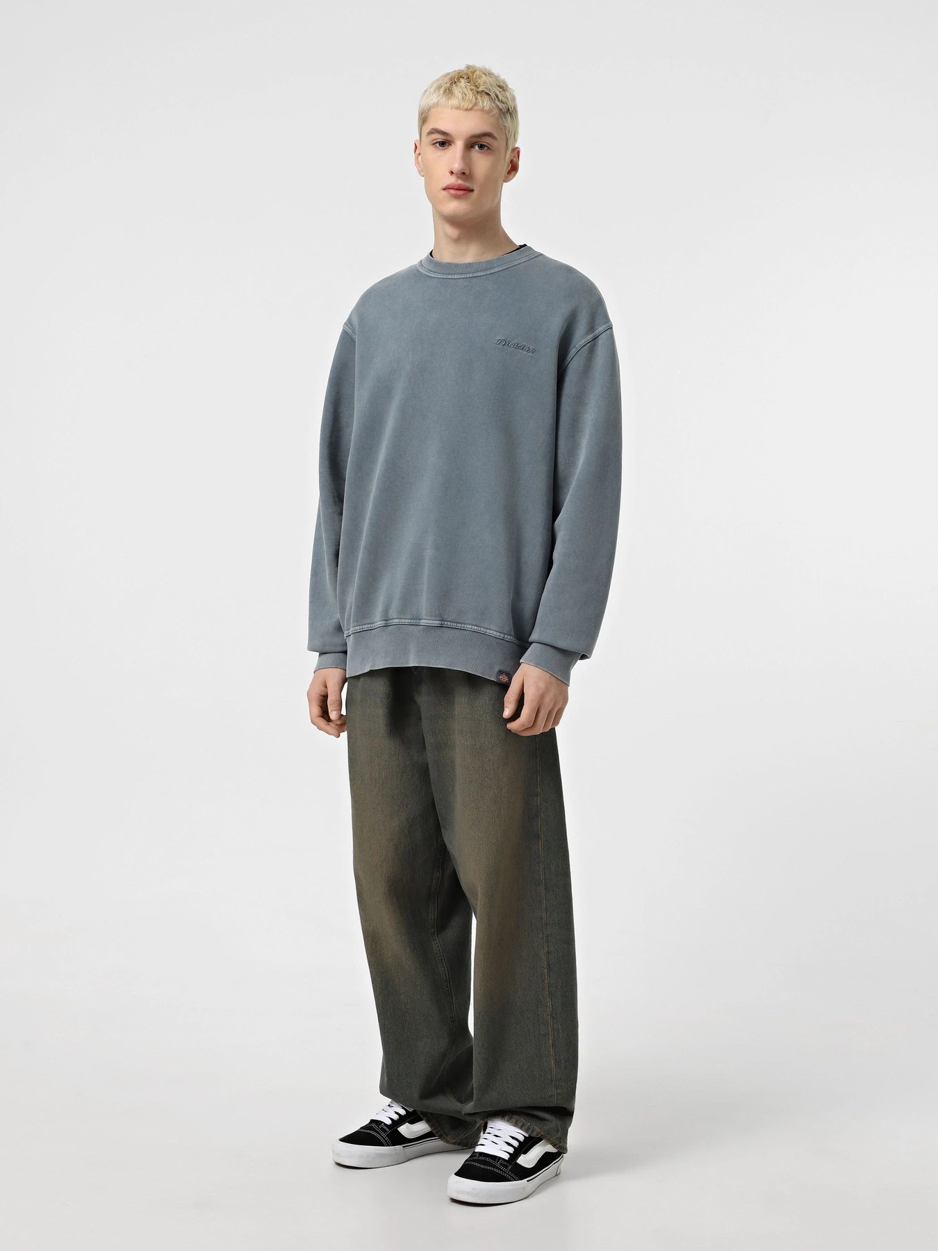 Худи и свитшоты Dickies Plentywood модель DK0A864HG701 Фото