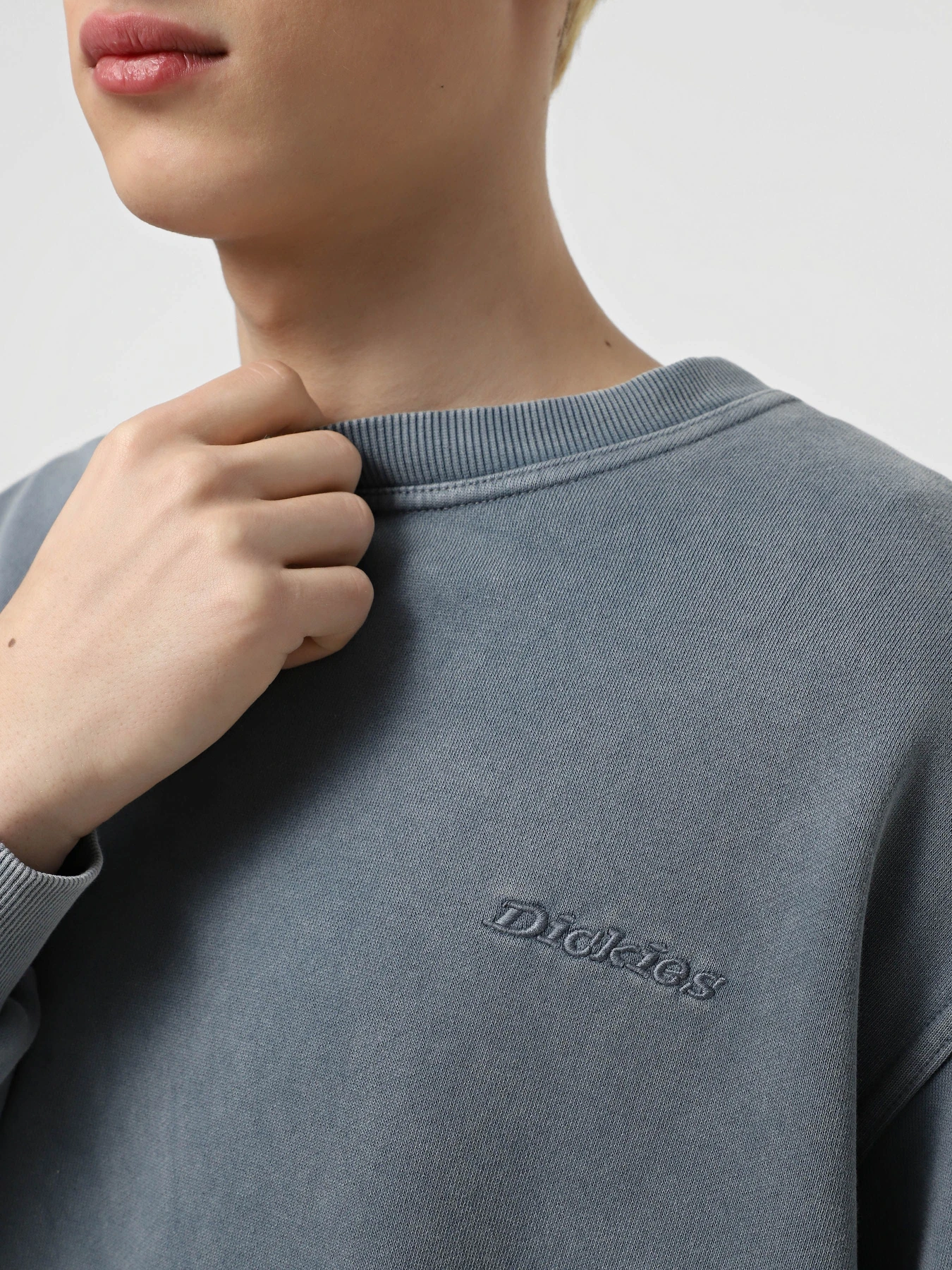 Худи и свитшоты Dickies Plentywood модель DK0A864HG701 Фото