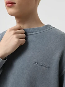 Худи и свитшоты Dickies Plentywood модель DK0A864HG701 Фото