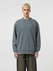 Худи и свитшоты Dickies Plentywood модель DK0A864HG701 Фото
