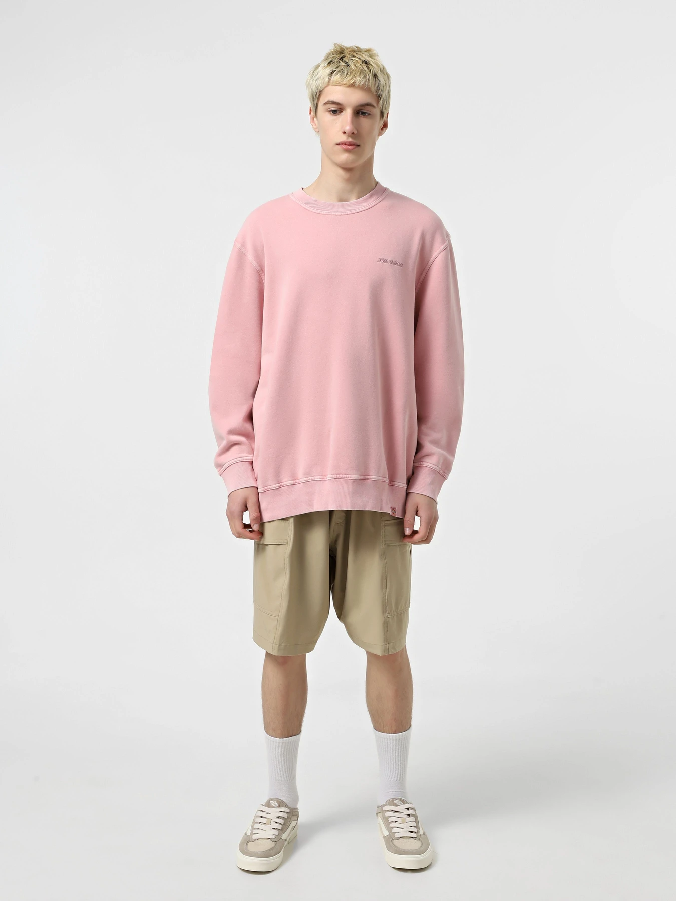 Худи и свитшоты Dickies Plentywood модель DK0A864HK391 Фото