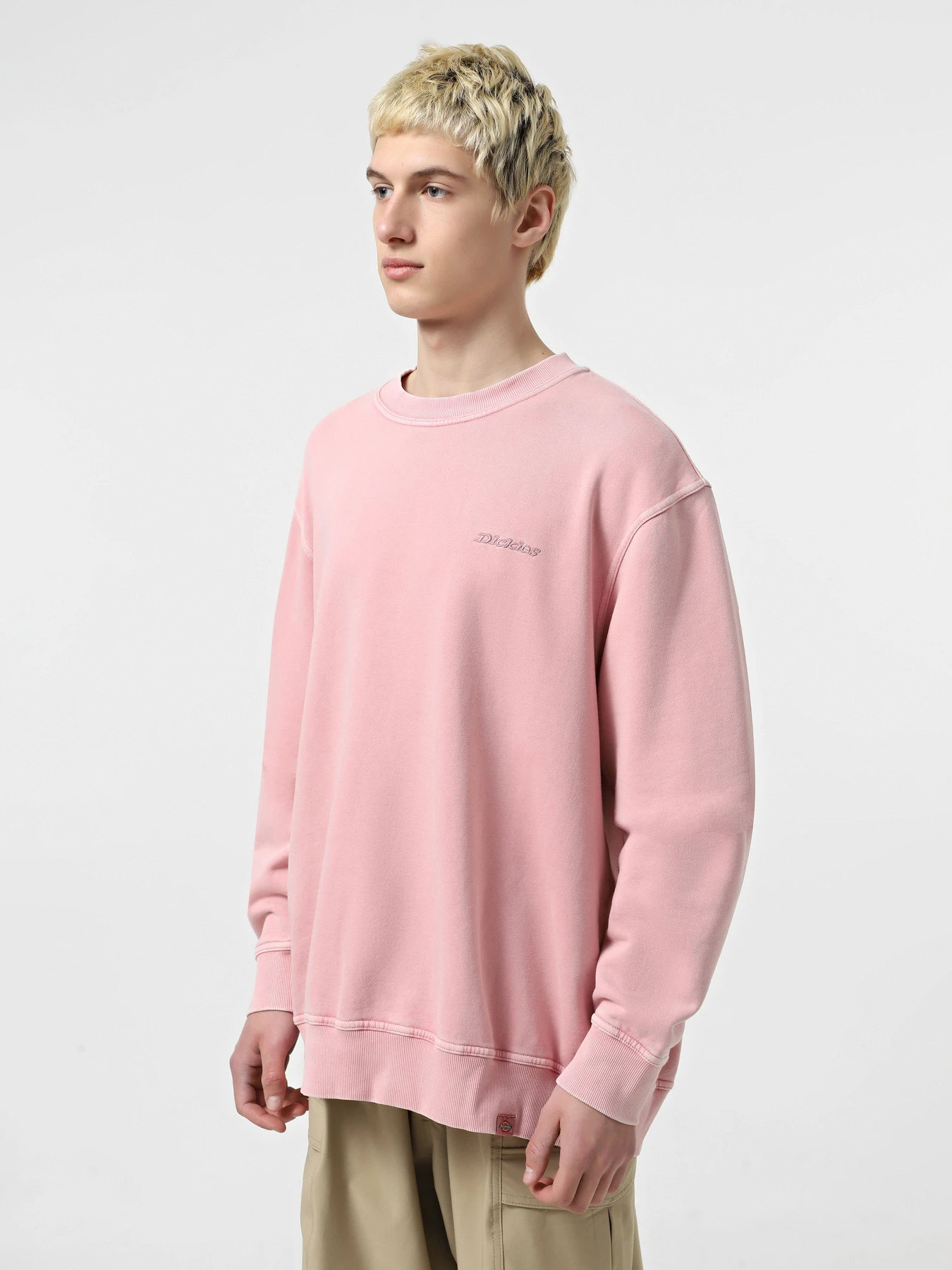 Худи и свитшоты Dickies Plentywood модель DK0A864HK391 Фото