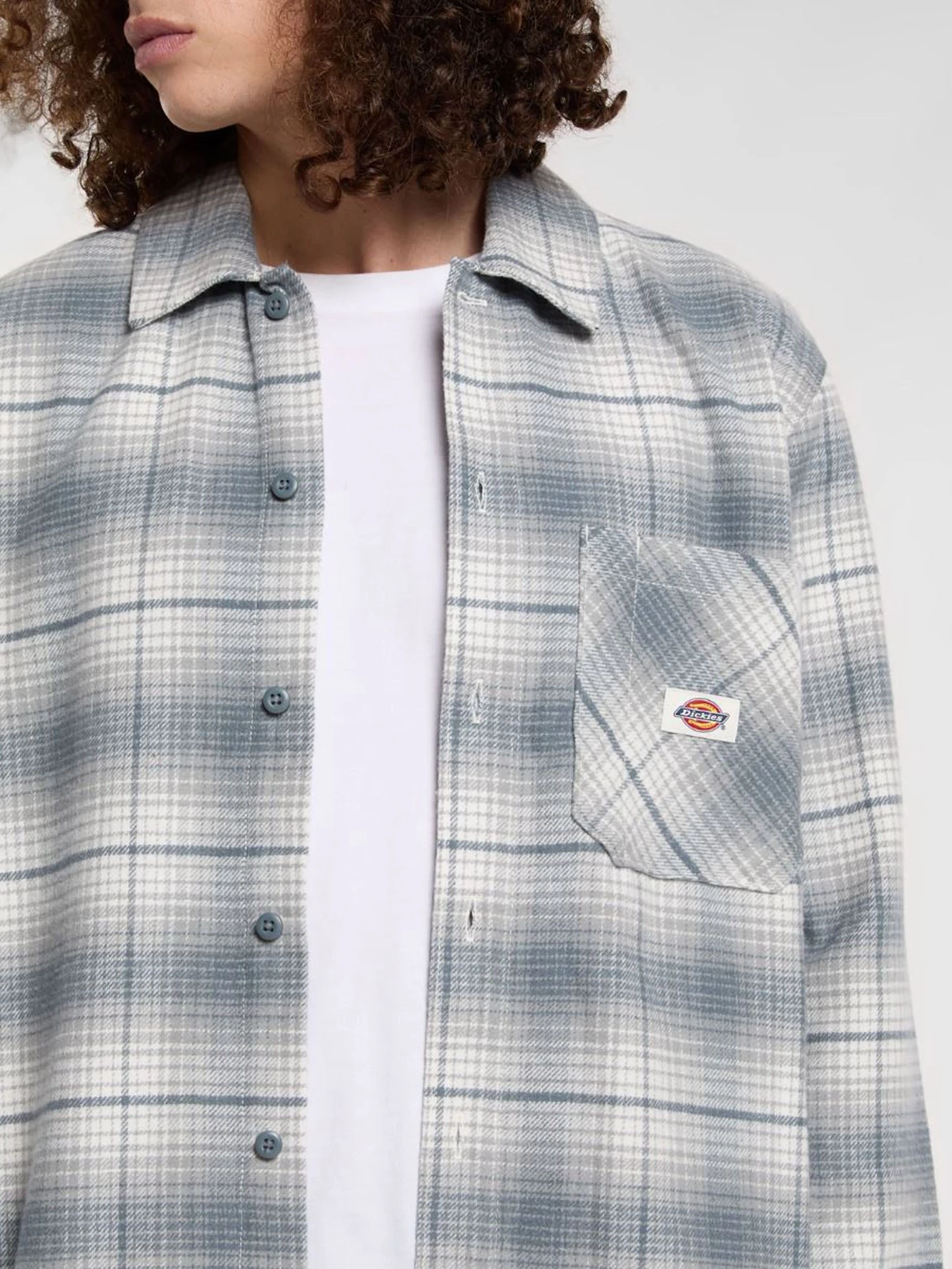 Рубашки Dickies Forest Check модель DK0A8653G701 Фото