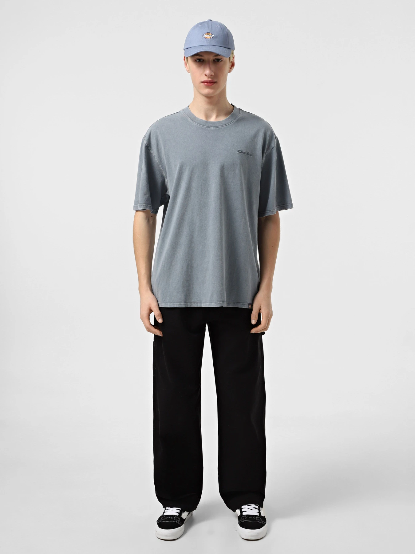 Футболки и поло Dickies Plentywood модель DK0A866BG701 Футболки и поло Dickies Plentywood модель DK0A866BG701 Фото
