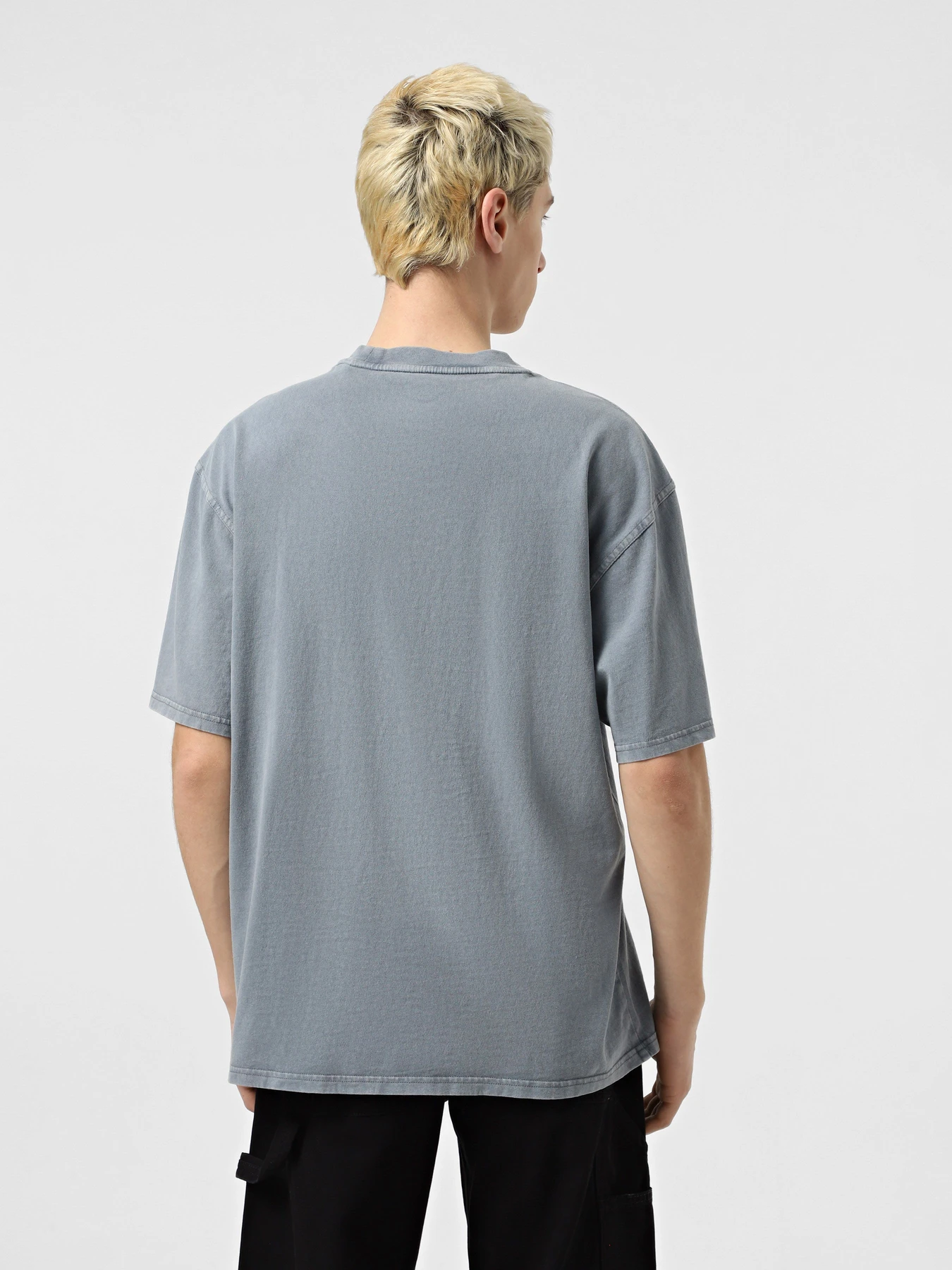 Футболки и поло Dickies Plentywood модель DK0A866BG701 Футболки и поло Dickies Plentywood модель DK0A866BG701 Фото