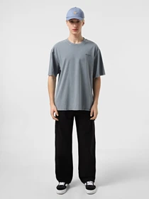 Футболки и поло Dickies Plentywood модель DK0A866BG701 Фото