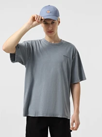 Футболки и поло Dickies Plentywood модель DK0A866BG701 Фото