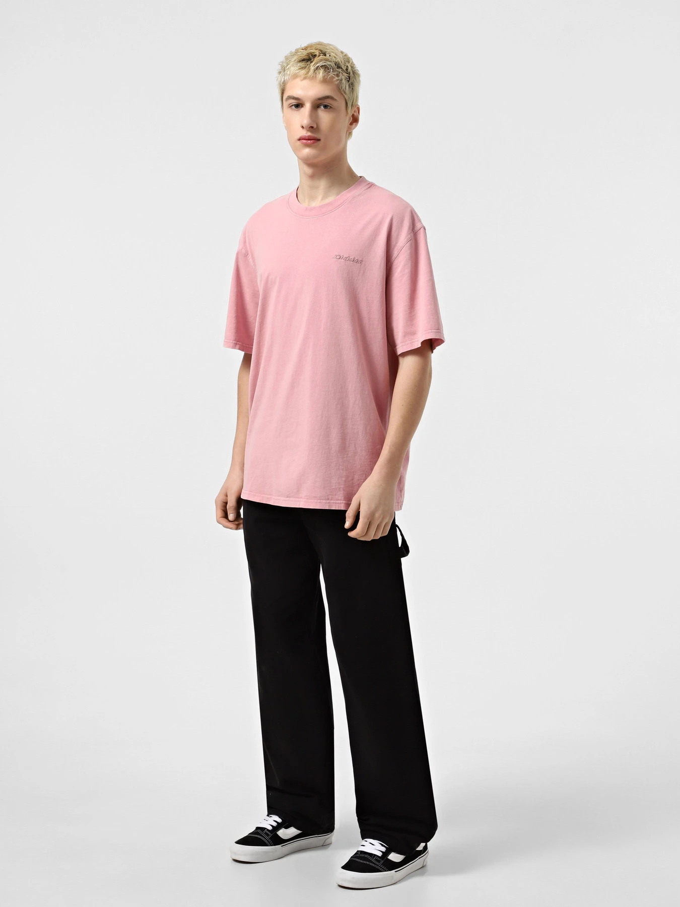 Футболки і поло Dickies Plentywood модель DK0A866BK391 Футболки і поло Dickies Plentywood модель DK0A866BK391 Фото