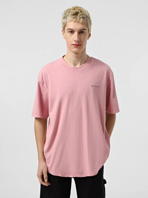 Футболки і поло Dickies Plentywood модель DK0A866BK391 Фото