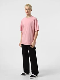 Футболки і поло Dickies Plentywood модель DK0A866BK391 Фото