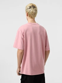 Футболки і поло Dickies Plentywood модель DK0A866BK391 Фото