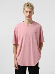Футболки і поло Dickies Plentywood модель DK0A866BK391 Фото