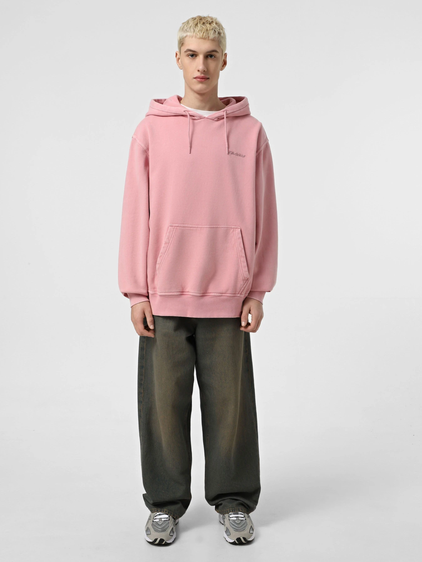 Худи и свитшоты Dickies Plentywood HD модель DK0A866DK391 Фото