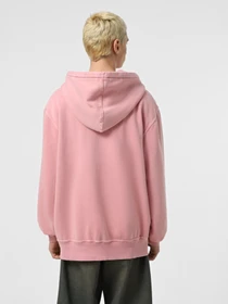 Худи и свитшоты Dickies Plentywood HD модель DK0A866DK391 Фото