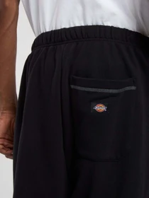 Брюки Dickies Roy Sweats модель DK0A866TBLK1 Фото
