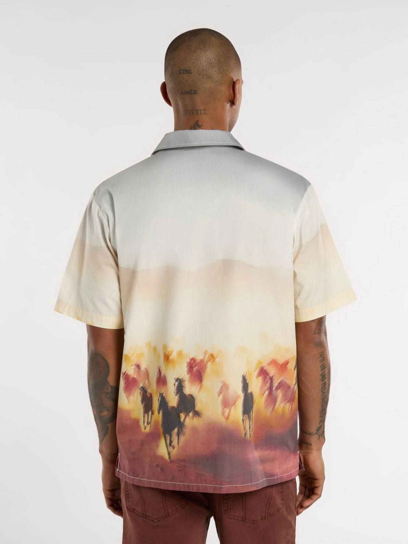 Рубашки Dickies Running Wild модель DK0A8676K411 Рубашки Dickies Running Wild модель DK0A8676K411 Фото