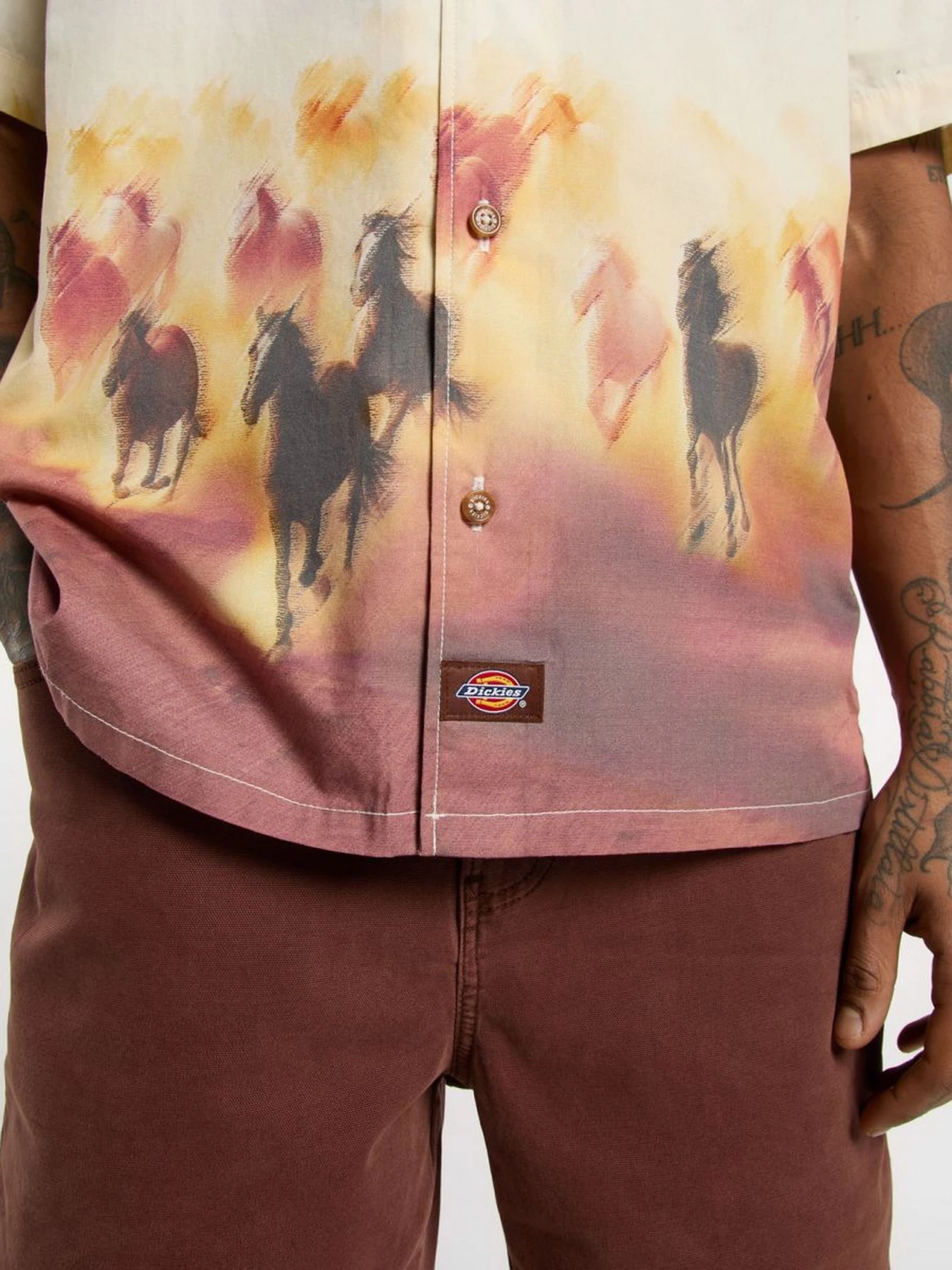 Рубашки Dickies Running Wild модель DK0A8676K411 Рубашки Dickies Running Wild модель DK0A8676K411 Фото