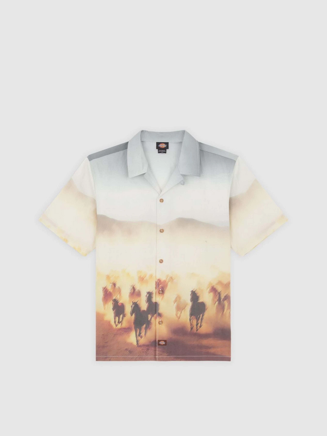 Рубашки Dickies Running Wild модель DK0A8676K411 Рубашки Dickies Running Wild модель DK0A8676K411 Фото