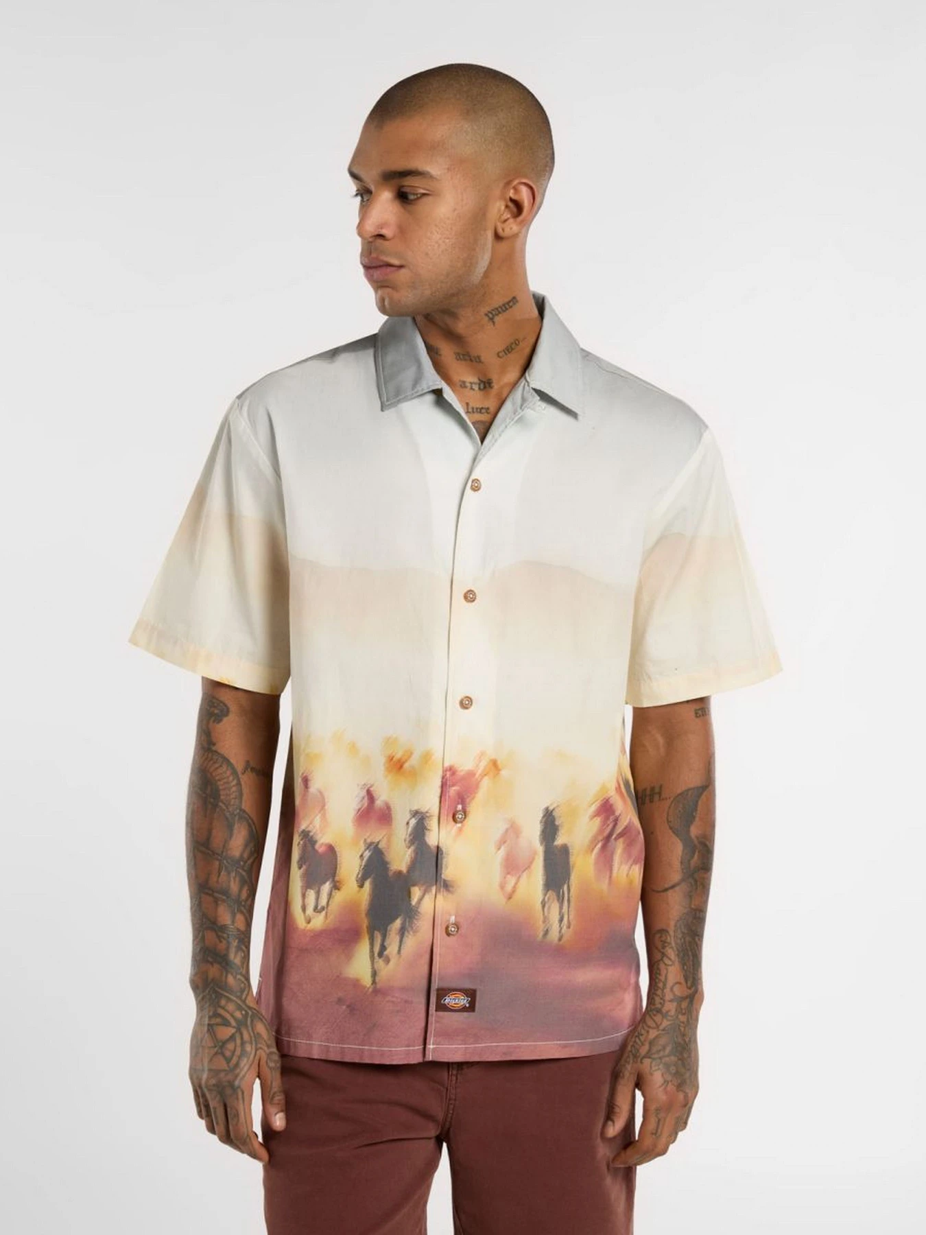 Рубашки Dickies Running Wild модель DK0A8676K411 Рубашки Dickies Running Wild модель DK0A8676K411 Фото