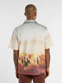 Рубашки Dickies Running Wild модель DK0A8676K411 Фото