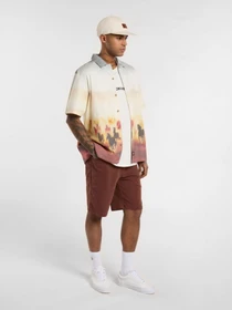 Рубашки Dickies Running Wild модель DK0A8676K411 Фото