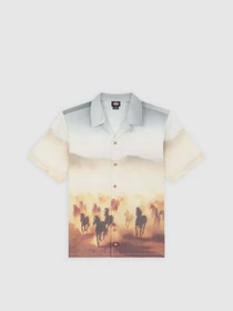 Рубашки Dickies Running Wild модель DK0A8676K411 Фото