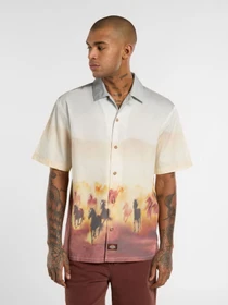 Рубашки Dickies Running Wild модель DK0A8676K411 Фото