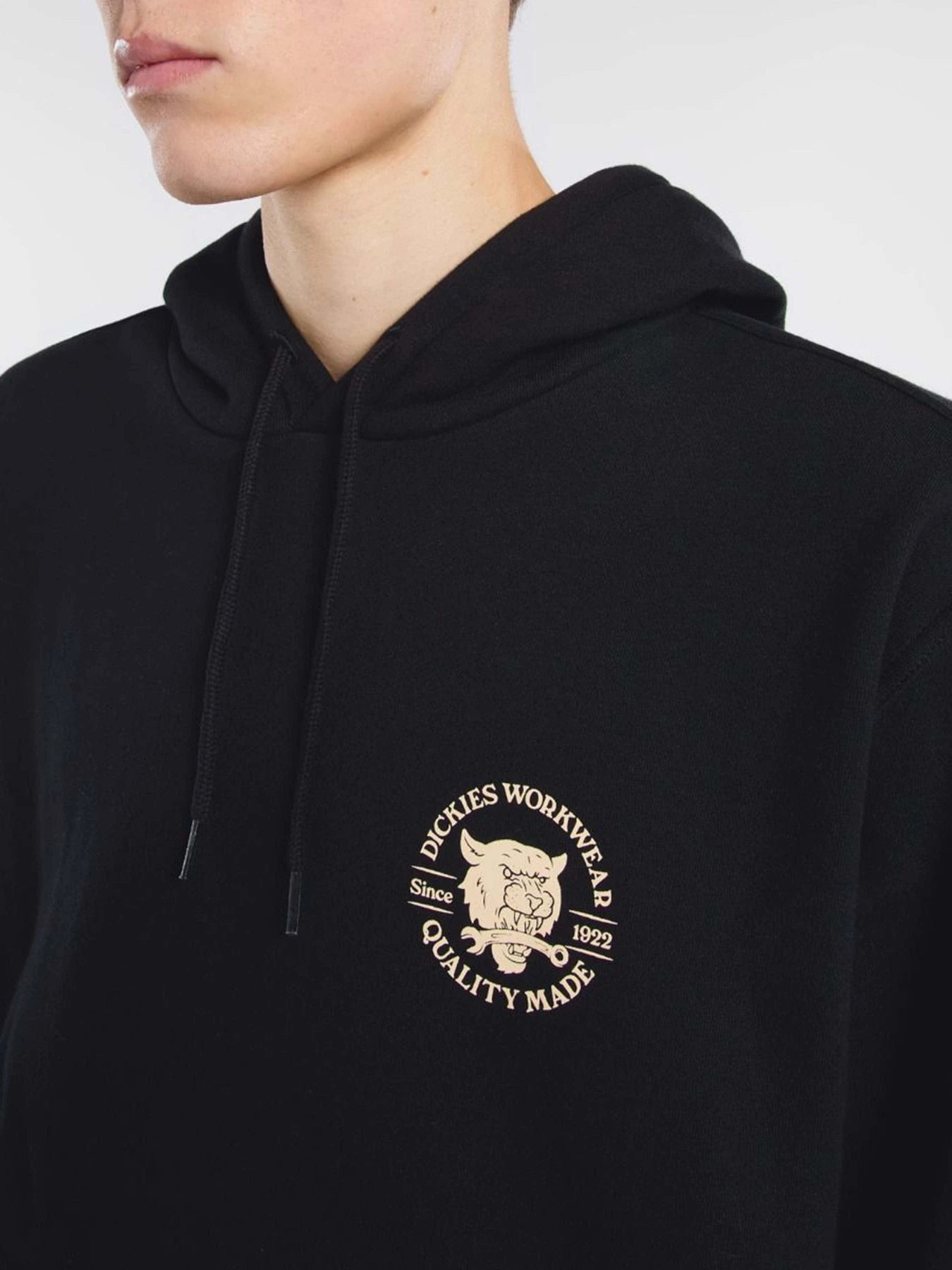 Худи и свитшоты Dickies Wrench модель DK0A8681BLK1 Фото