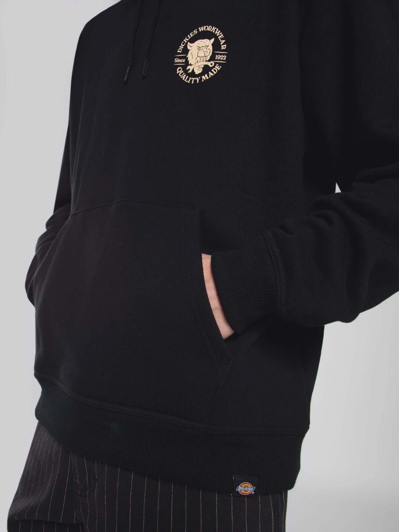Худи и свитшоты Dickies Wrench модель DK0A8681BLK1 Фото