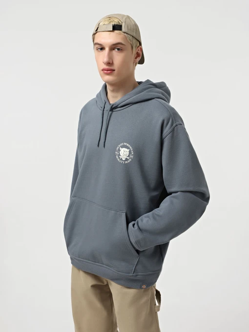 Худі та світшоти Dickies Wrench модель DK0A8681G701 Фото