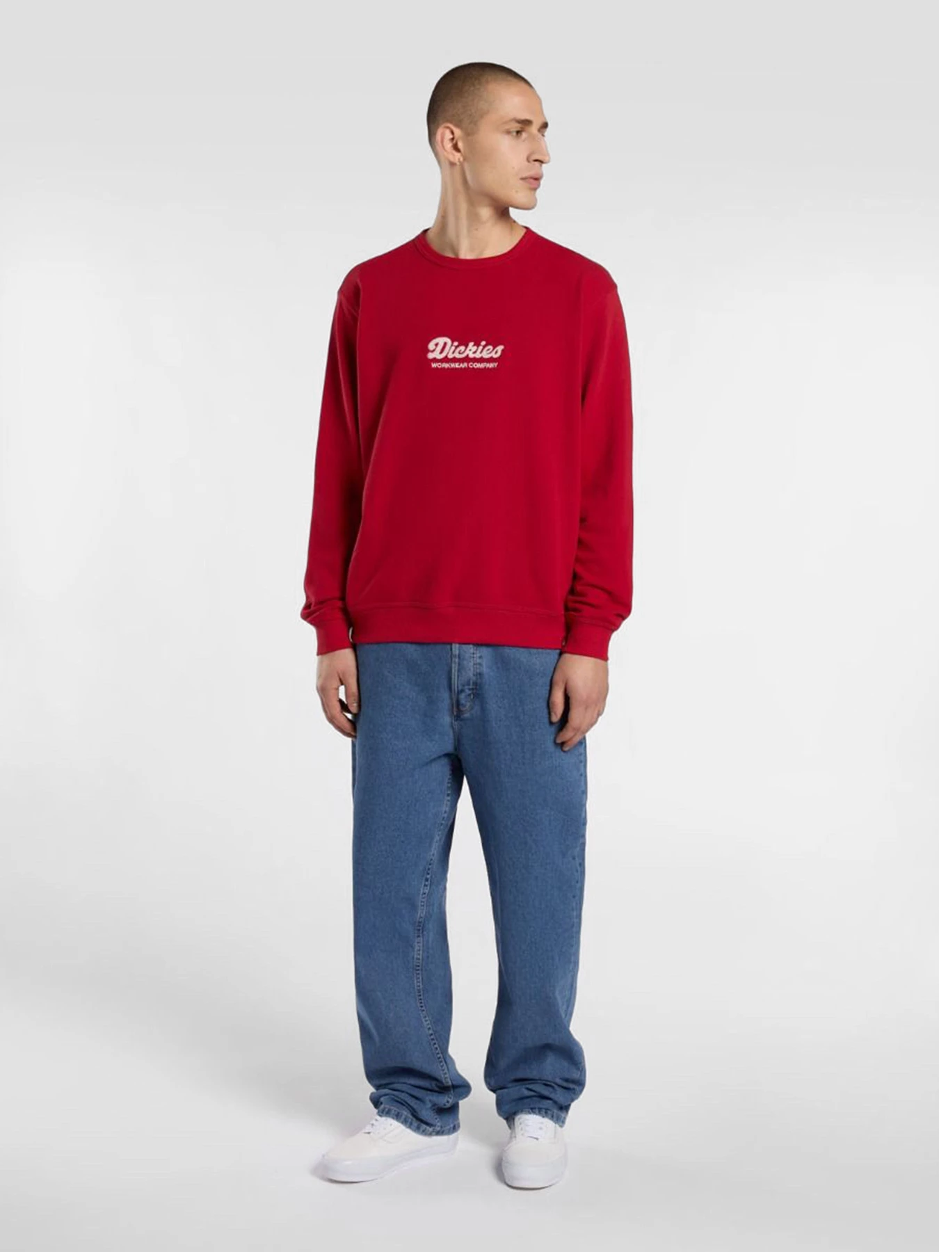 Худі та світшоти Dickies Lewistown модель DK0A86820ER1 Худі та світшоти Dickies Lewistown модель DK0A86820ER1 Фото