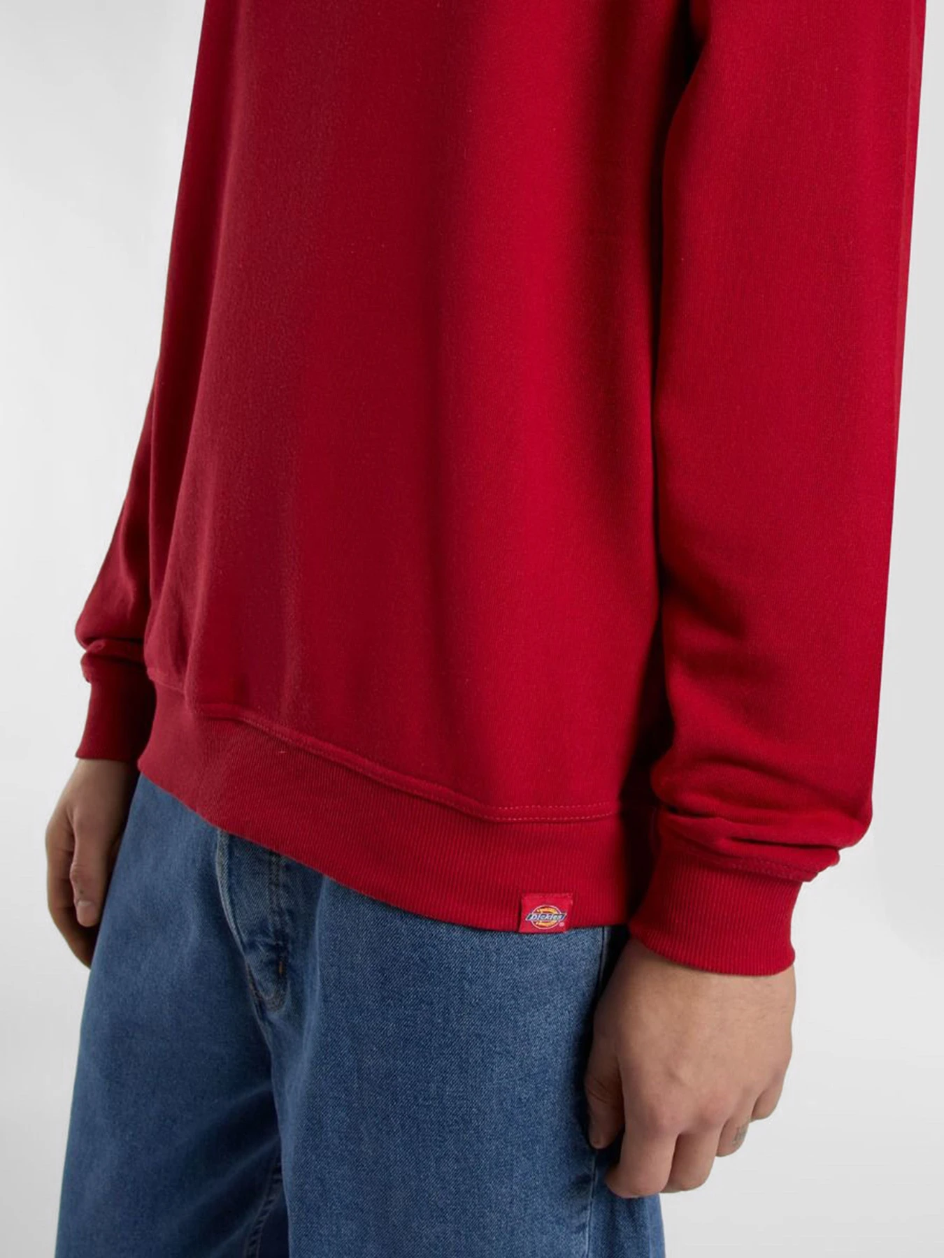 Худі та світшоти Dickies Lewistown модель DK0A86820ER1 Худі та світшоти Dickies Lewistown модель DK0A86820ER1 Фото