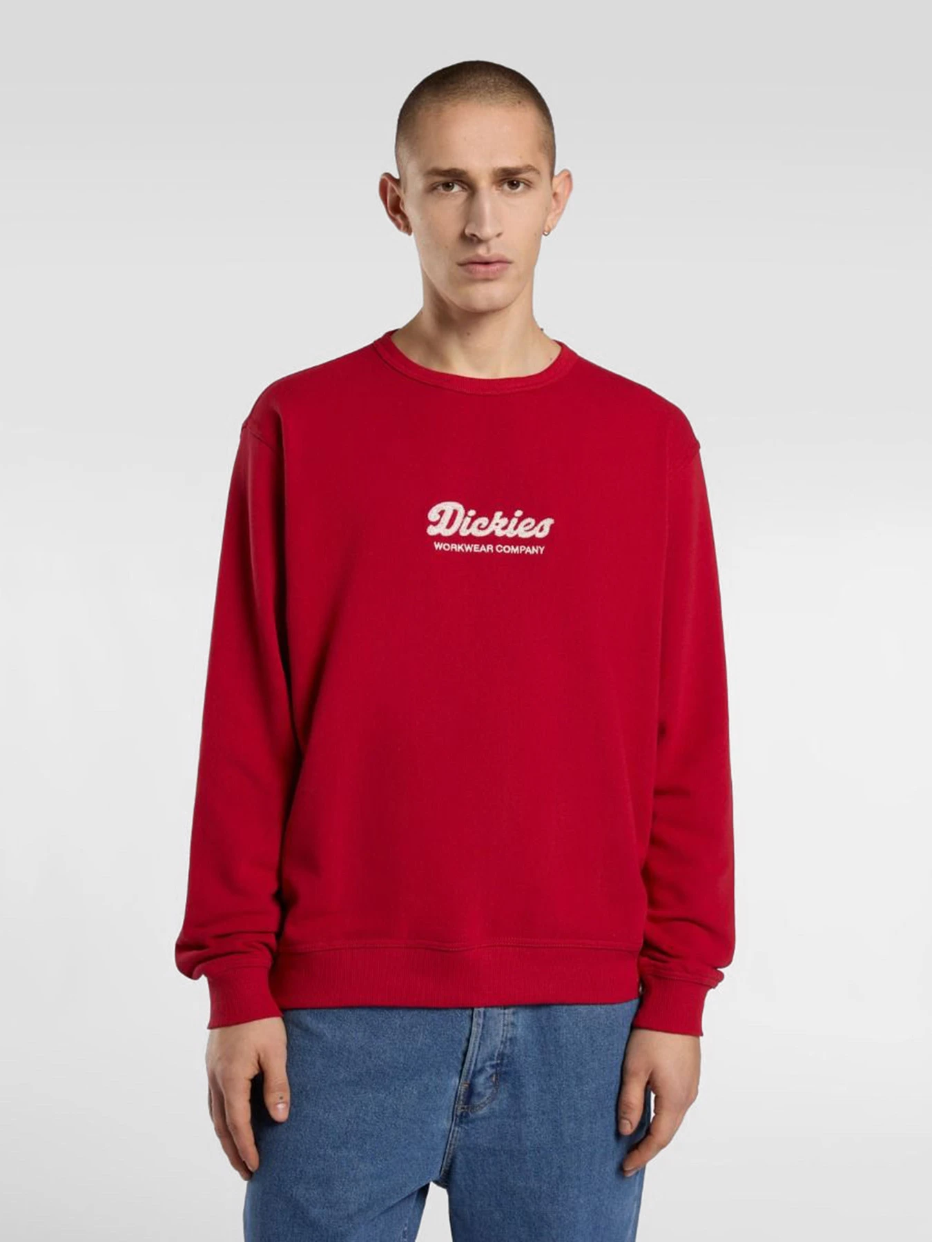 Худі та світшоти Dickies Lewistown модель DK0A86820ER1 Худі та світшоти Dickies Lewistown модель DK0A86820ER1 Фото