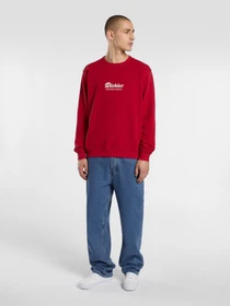 Худі та світшоти Dickies Lewistown модель DK0A86820ER1 Фото