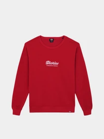 Худі та світшоти Dickies Lewistown модель DK0A86820ER1 Фото