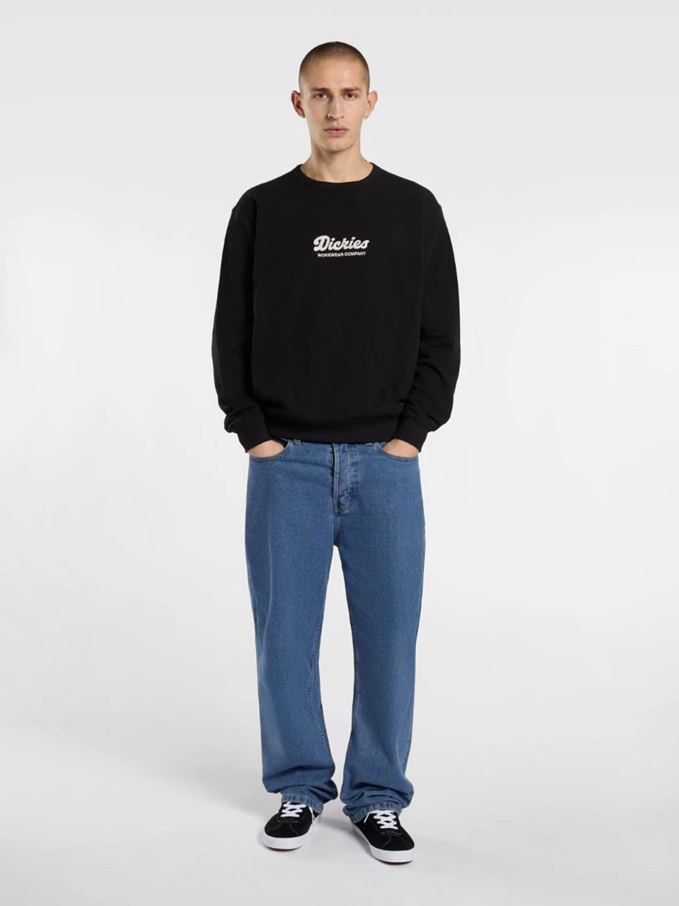 Худи и свитшоты Dickies Lewistown модель DK0A8682BLK1 Фото