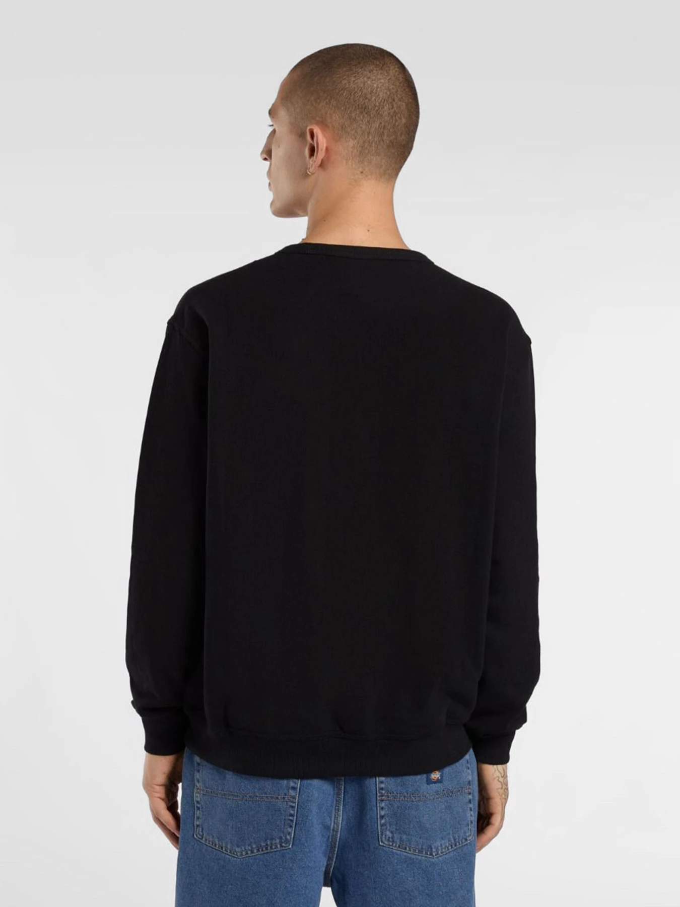 Худи и свитшоты Dickies Lewistown модель DK0A8682BLK1 Фото