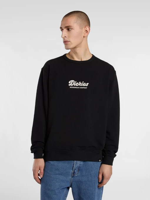 Худи и свитшоты Dickies Lewistown модель DK0A8682BLK1 Фото