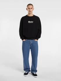 Худи и свитшоты Dickies Lewistown модель DK0A8682BLK1 Фото