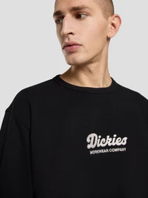 Худи и свитшоты Dickies Lewistown модель DK0A8682BLK1 Фото