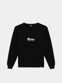 Худи и свитшоты Dickies Lewistown модель DK0A8682BLK1 Фото